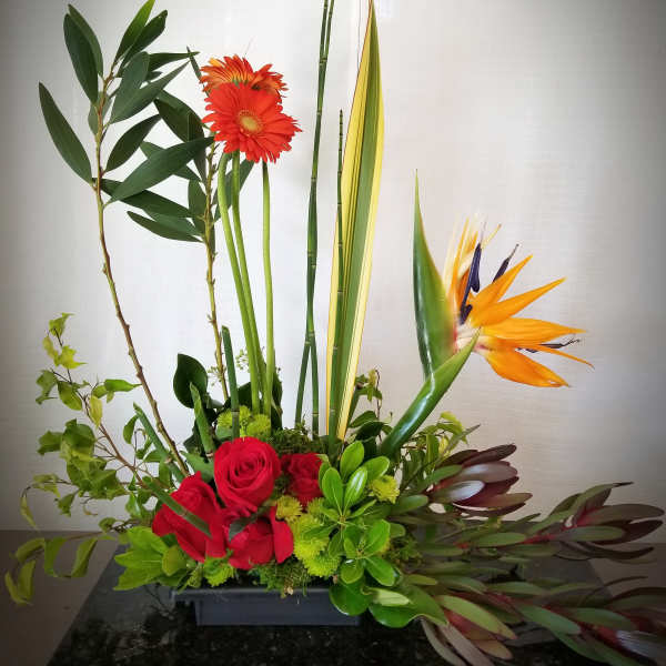Tropical floral arrangement with red roses, orange gerberas, and bird of paradise