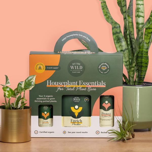 Houseplant care kit with potted plants and a snake plant