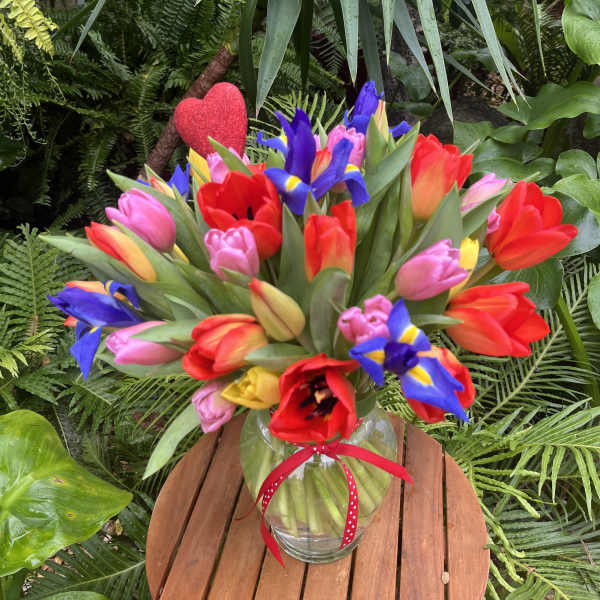 Colorful tulip bouquet in a glass vase with a red ribbon