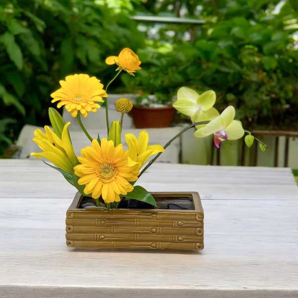 Yellow flowers in a rectangular ceramic planter with an orchid stem