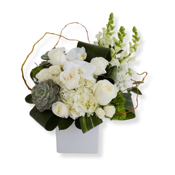 White roses and orchids arranged in a square vase with succulents