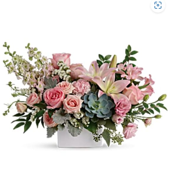 Hello Beautiful ( TelaFlora )