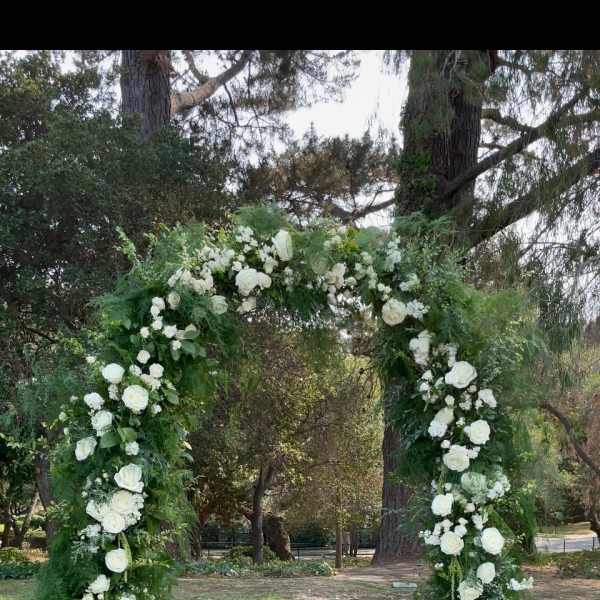 White floral arch covered in roses and greenery outdoors