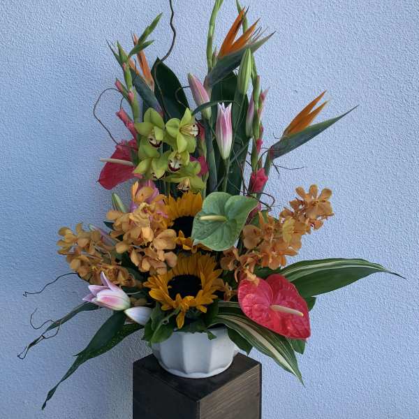 Tall tropical arrangement with orchids, sunflowers, and anthuriums in a white vase