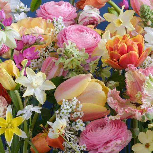 Designer's Choice $175