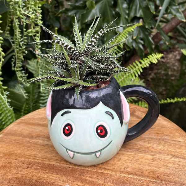 Succulent in a vampire face mug planter