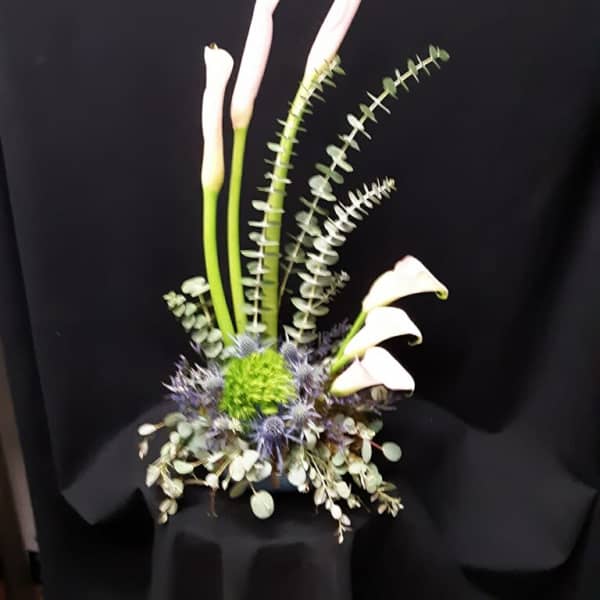 Tall modern arrangement of pale calla lilies with green and blue accents in a low vase