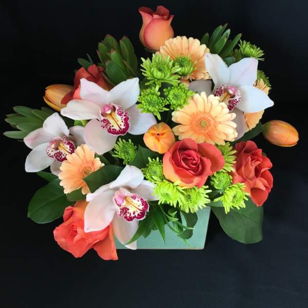 Rose cymbidium cube with orchids