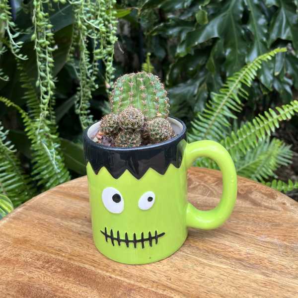 Cactus in a Frankenstein-themed mug planter
