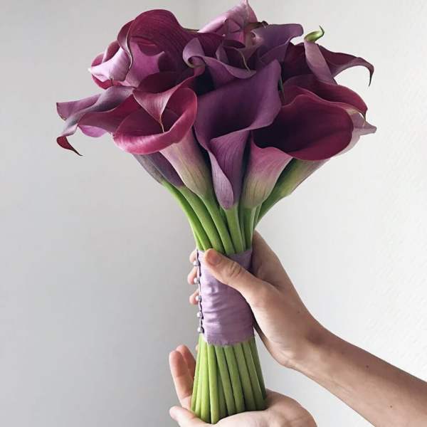 Bridal Bouquet of Burgundy Calla Lilies