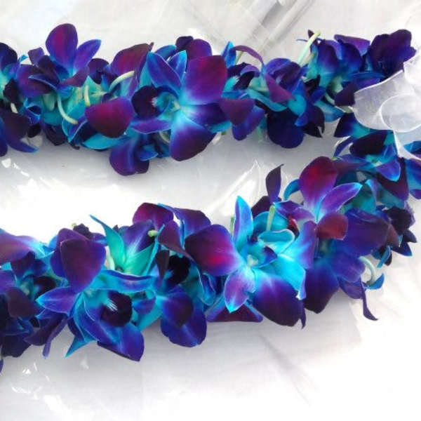 Purple and blue flower lei on a white background