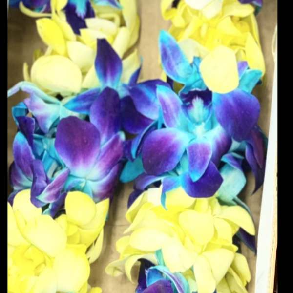Box of purple and yellow orchid leis