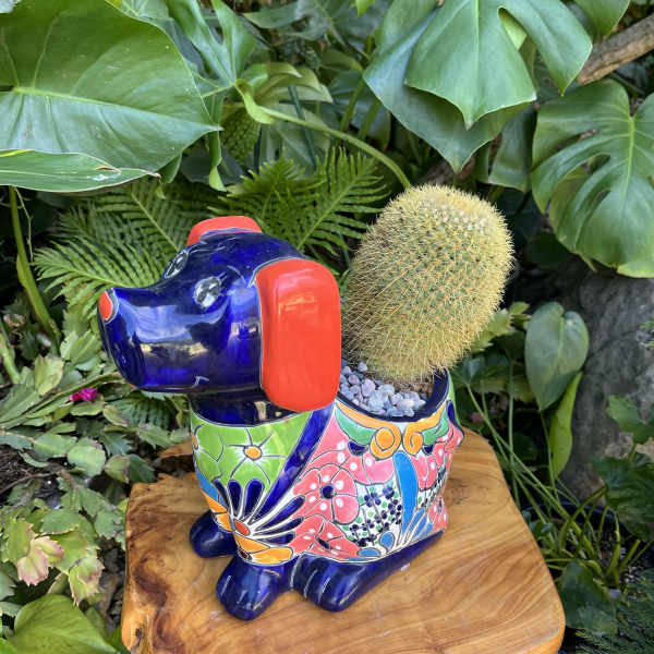 Ceramic dog planter holding a round cactus