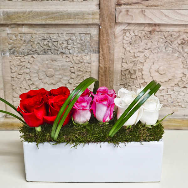 Red, pink, and white roses in a rectangular white planter