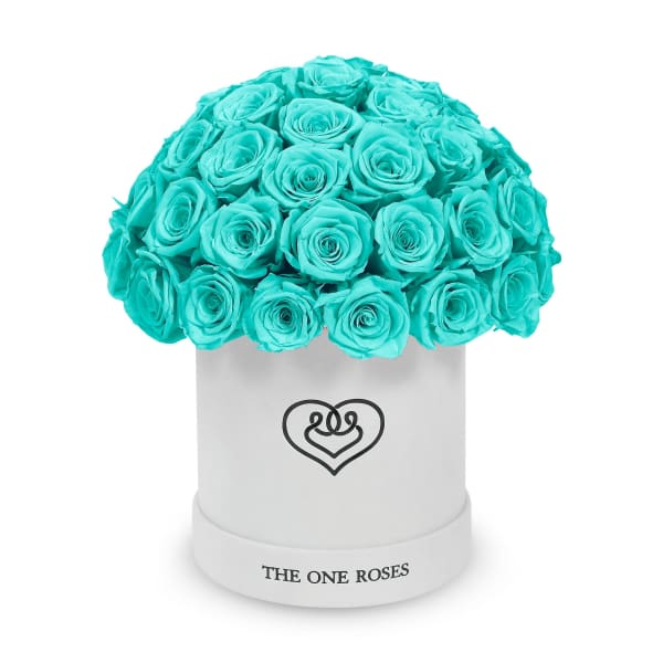 Turquoise roses arranged in a white round box