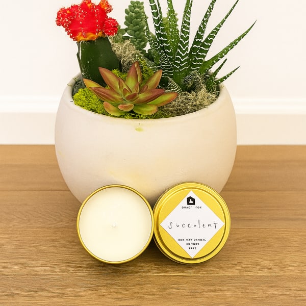 Succulent arrangement in a white round pot with a red cactus bloom