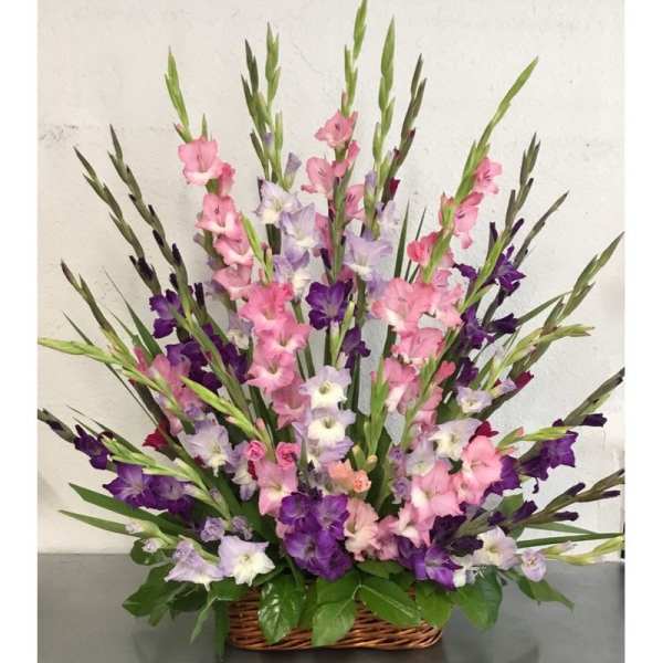 Basket arrangement of pink, purple, and white gladiolus flowers