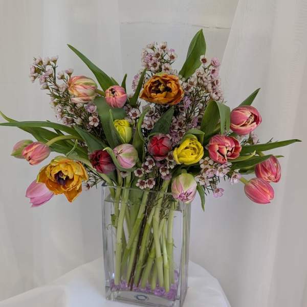 Mixed 20 Fresh Tulips