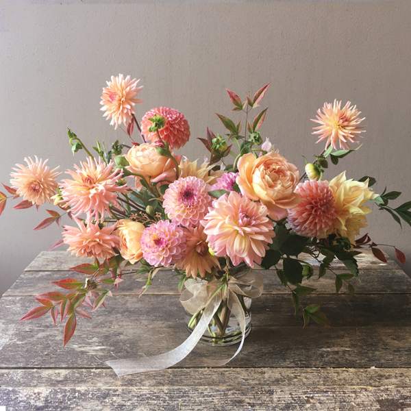 Faye (Gallery Photo)