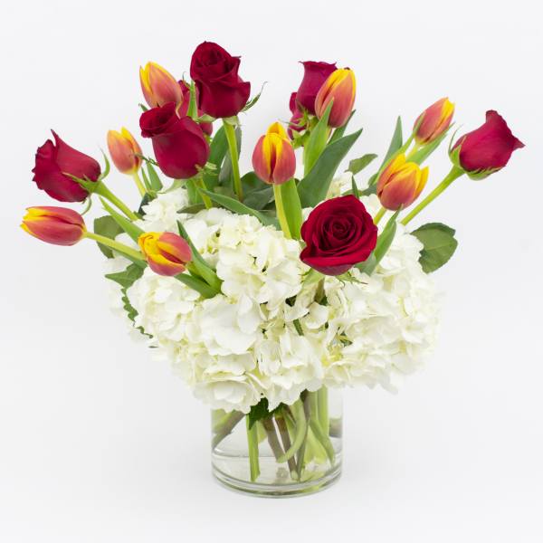 Red roses and orange tulips in a clear glass vase with white hydrangeas
