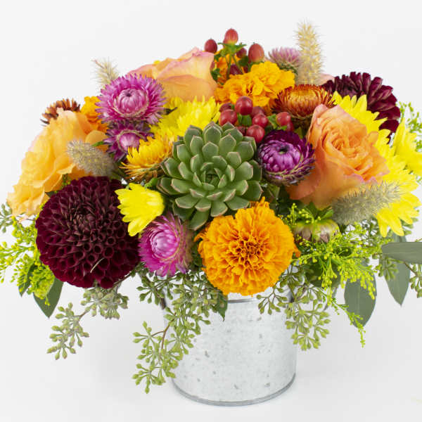 Colorful mixed bouquet in a metal bucket with a succulent center