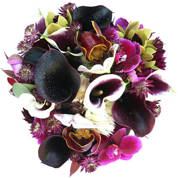 Bouquet of dark calla lilies and purple orchids