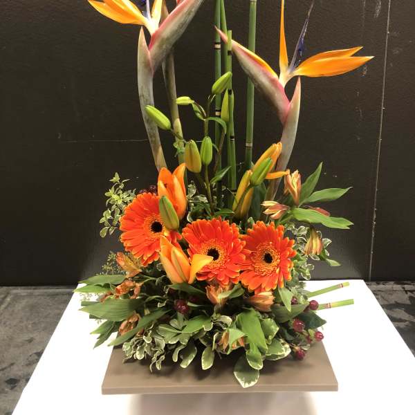 Tall tropical arrangement with orange birds of paradise and gerbera daisies