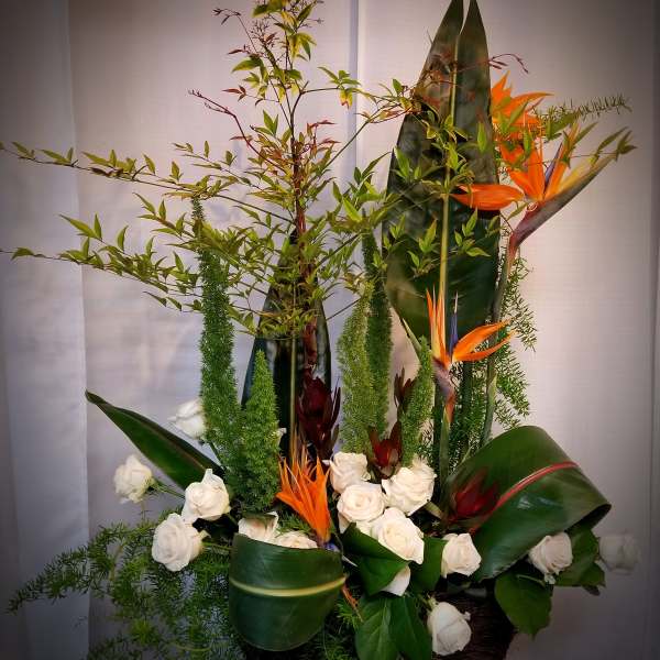 Tall tropical arrangement with white roses and orange bird-of-paradise flowers