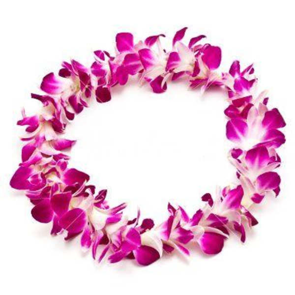 Pink and white orchid lei arranged in a circle