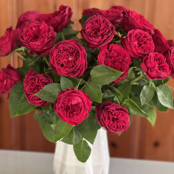 Bouquet of deep pink roses in a white vase