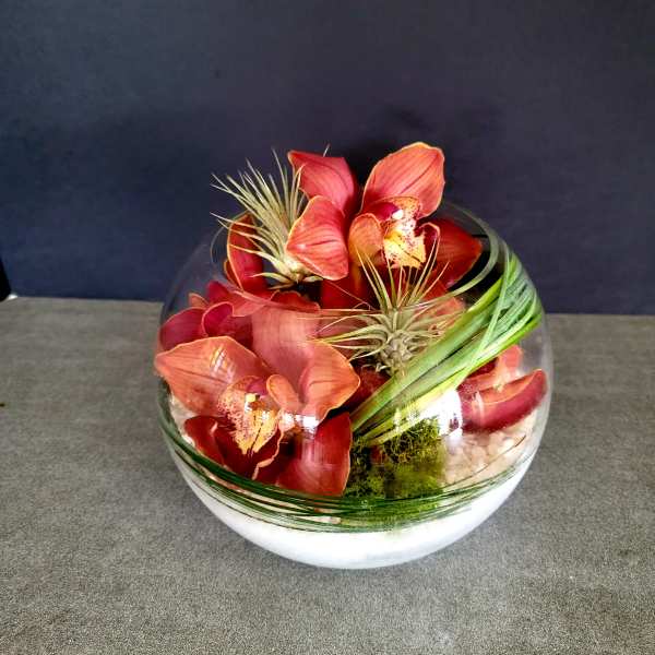 Round glass bowl with red orchids and air plants