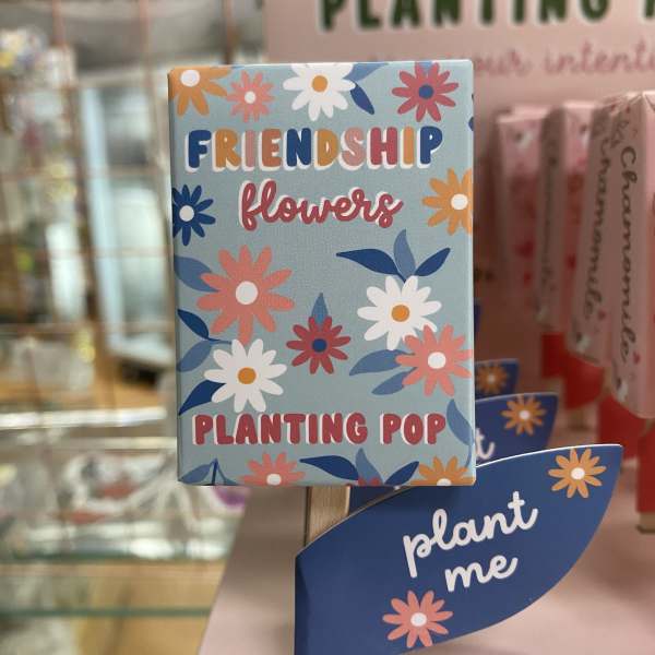 Decorative plant sign with daisy pattern and the words "Friendship flowers"