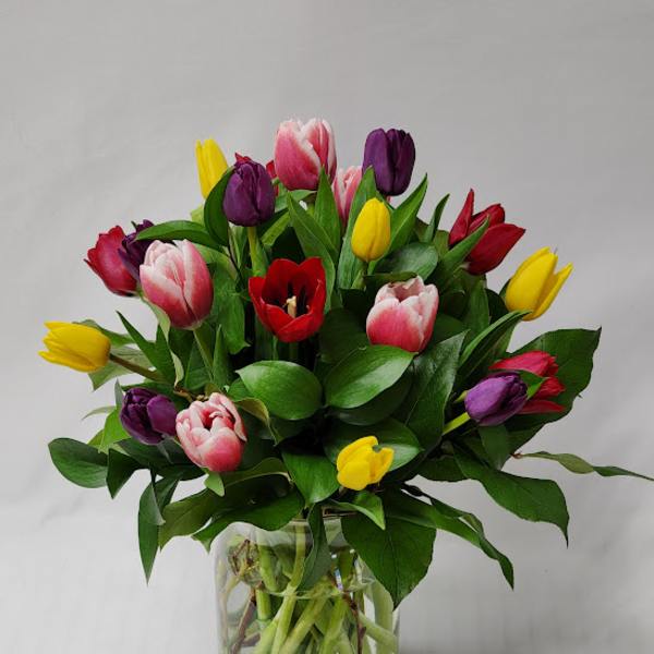 Simply Multicolor Tulips