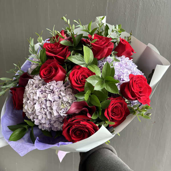 Bouquet of red roses and lavender hydrangeas wrapped in white paper