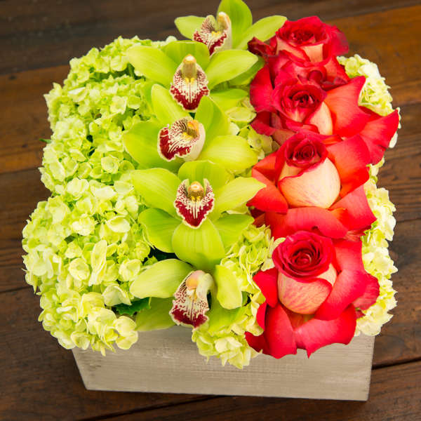 Red roses and green orchids arranged in a rectangular box with pale hydrangeas