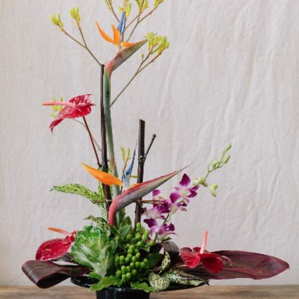 Tropical arrangement with bird of paradise and orchids in a black pot