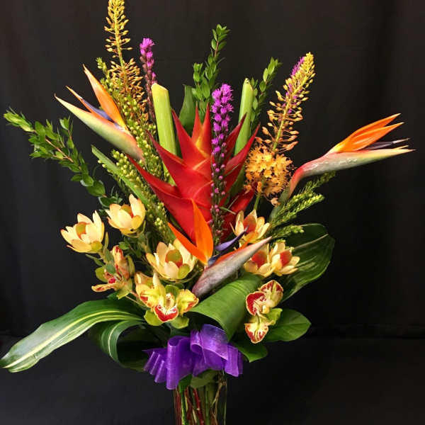 Heliconia Protea Eremurus Large Mix