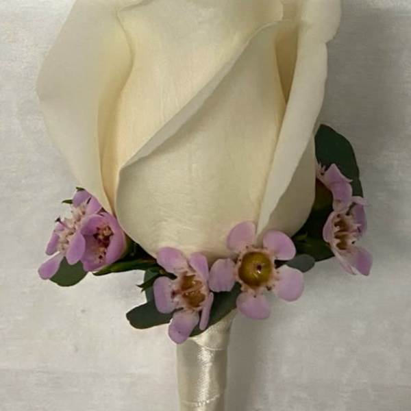 Cream rose boutonniere with small purple accent flowers