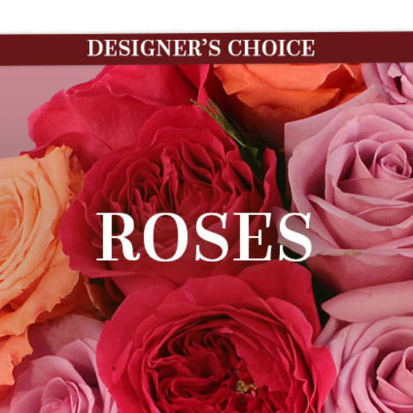 Close-up of roses in red, pink, and peach tones