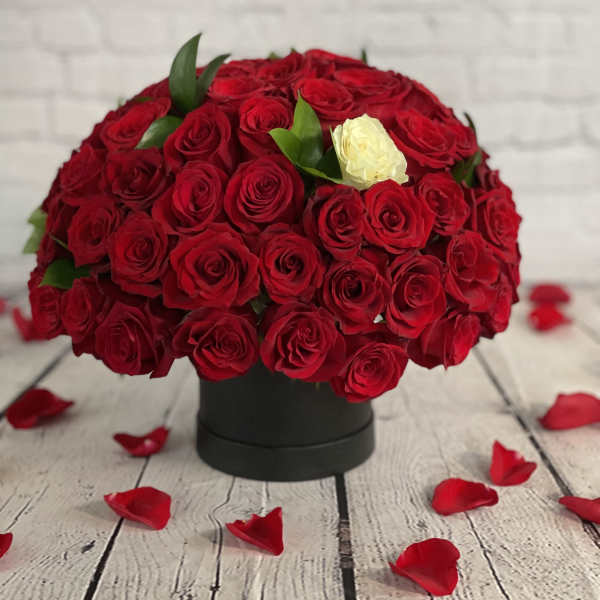 Round bouquet of red roses with one white rose in a black box