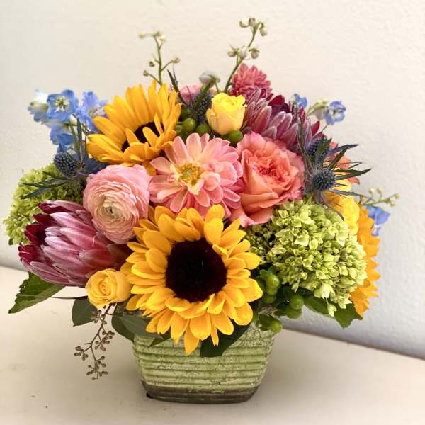 Southern California Sunshine