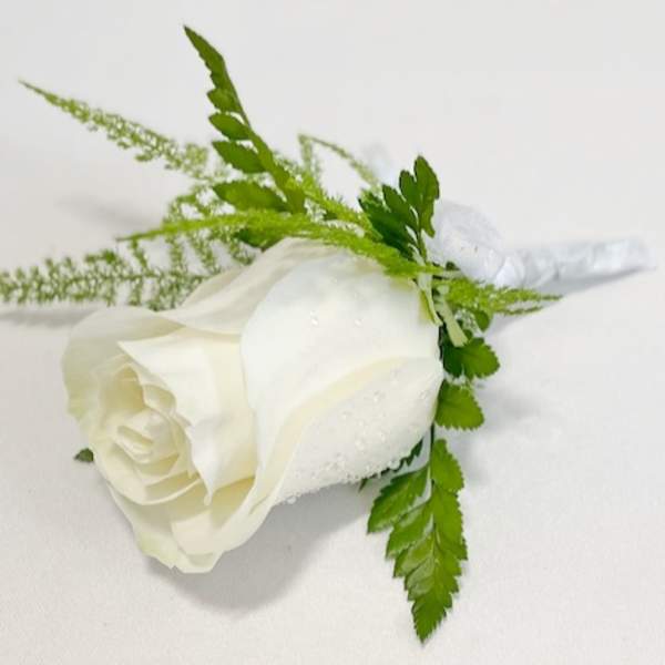 White rose boutonniere with green foliage on a white background