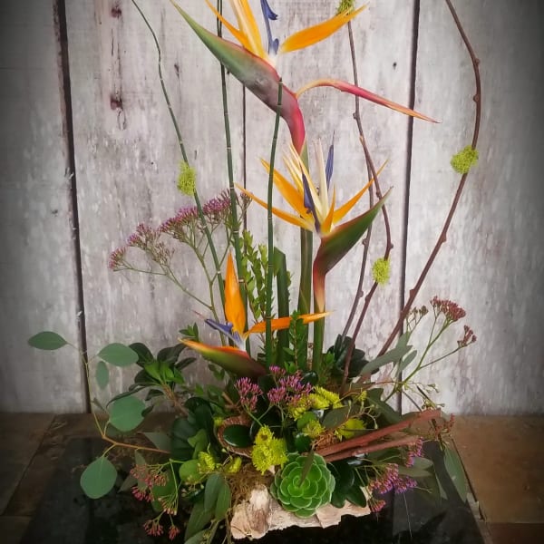 Tall tropical arrangement with bird of paradise and succulents in a low container