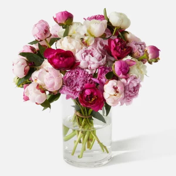 Bouquet of pink and white peonies arranged in a clear glass cylinder vase