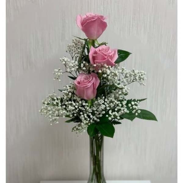 Pink roses arranged in a tall glass vase with white filler flowers