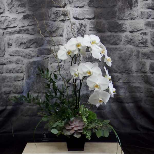 White orchids in a black vase with succulents and greenery