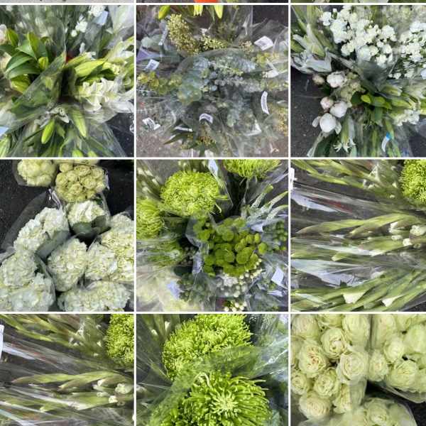 Assorted bouquets of white and green flowers wrapped in plastic.