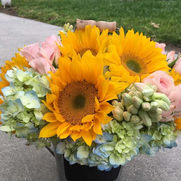 Bouquet of sunflowers, pale pink roses, and blue-green hydrangeas in a black bucket
