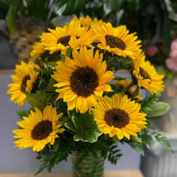 Sunflower Bouquet