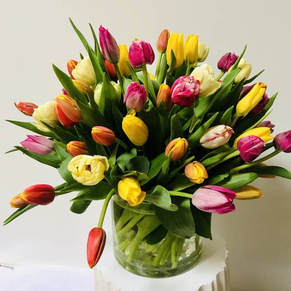 Mixed tulips in a clear glass vase